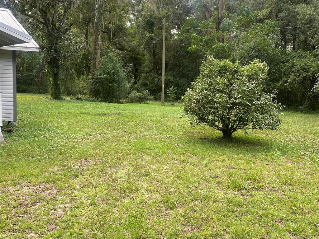 3023 Southeast 13th Place Gainesville, FL 32641 - Photo 21 of 29 a view of a yard with a trees