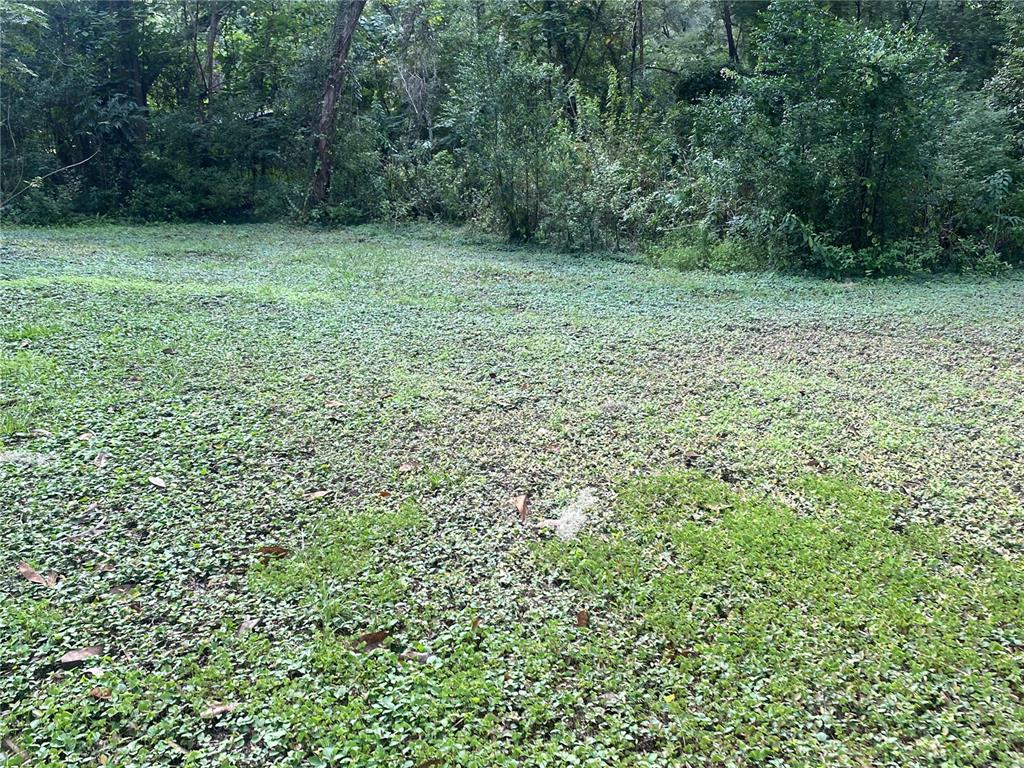 3023 Southeast 13th Place Gainesville, FL 32641 - Photo 23 of 29 a view of outdoor space and yard