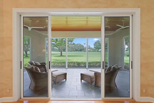 a view of a trees in a yard