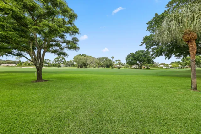 a view of a park with large trees