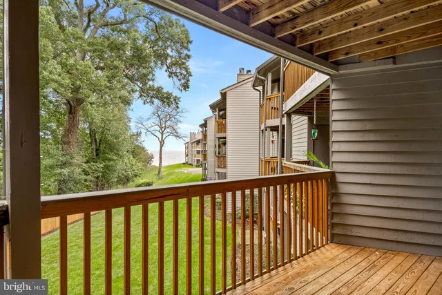 a view of yard with green space