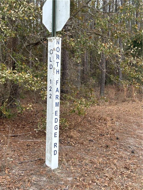 0 Farms Edge Rd Manor Manor, GA 31550 - Photo 25 of 25 Photo 25