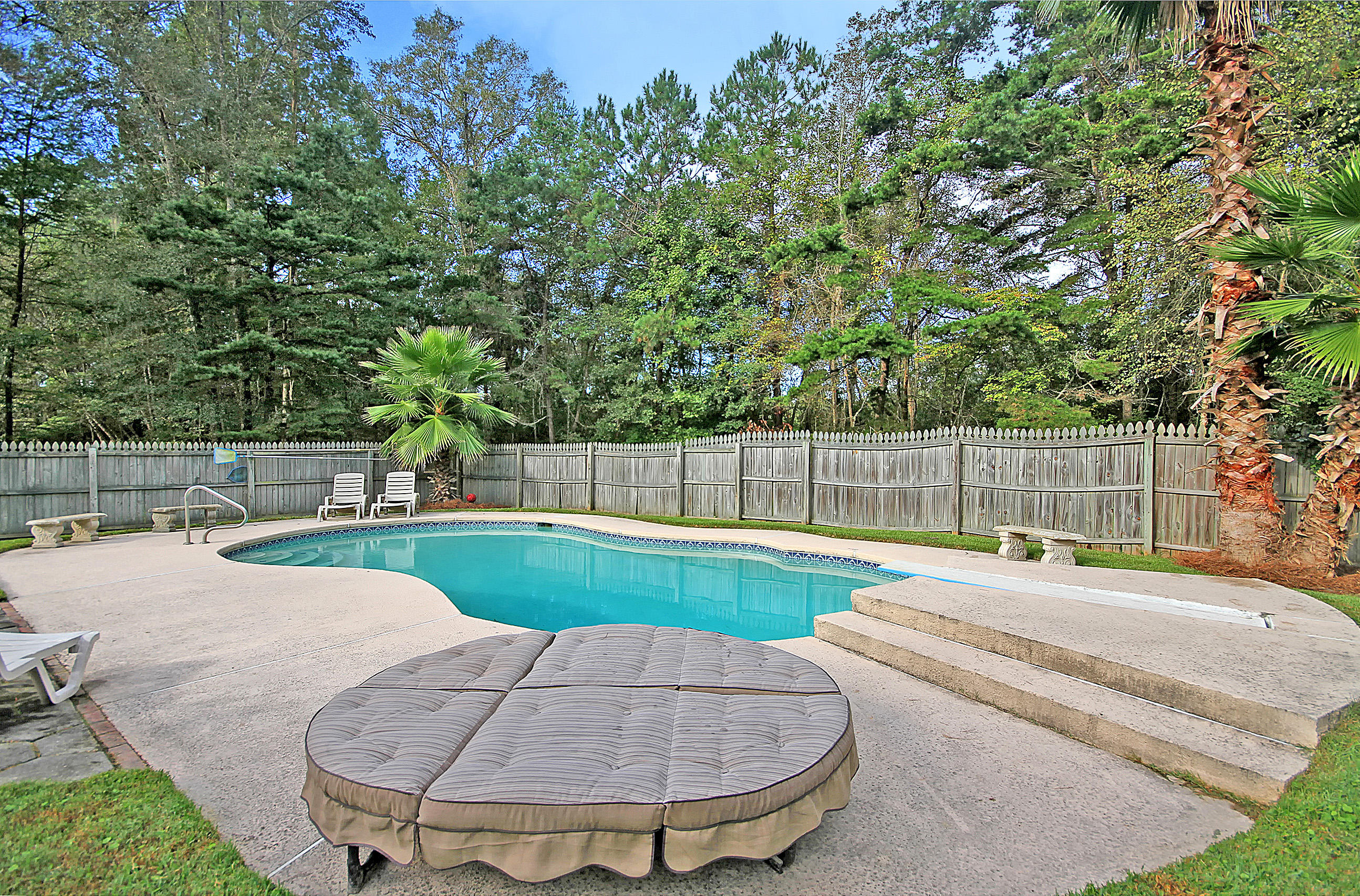 220 Scalybark Road Summerville, SC 29485 - Photo 34 of 36 Pool