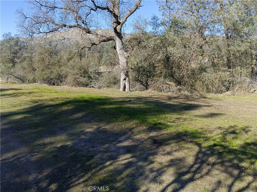 0 Deep Forest Drive Coarsegold, CA 93614 - Photo 1 of 14