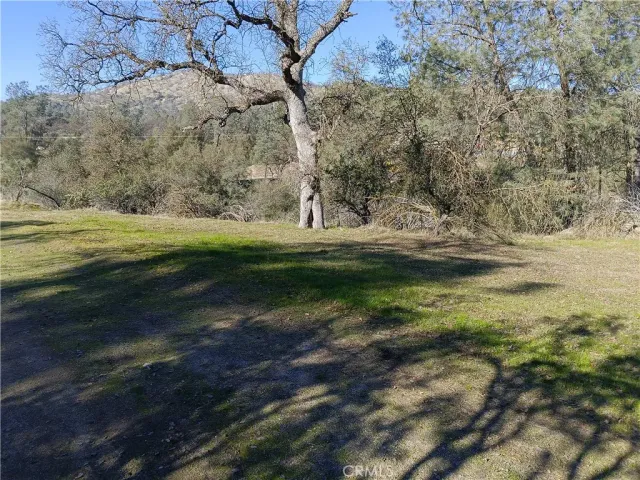 $30,000 | 0 Deep Forest Drive, Coarsegold, CA 93614