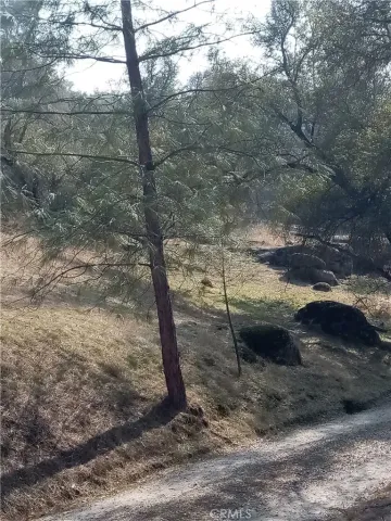 $30,000 | 0 Deep Forest Drive, Coarsegold, CA 93614