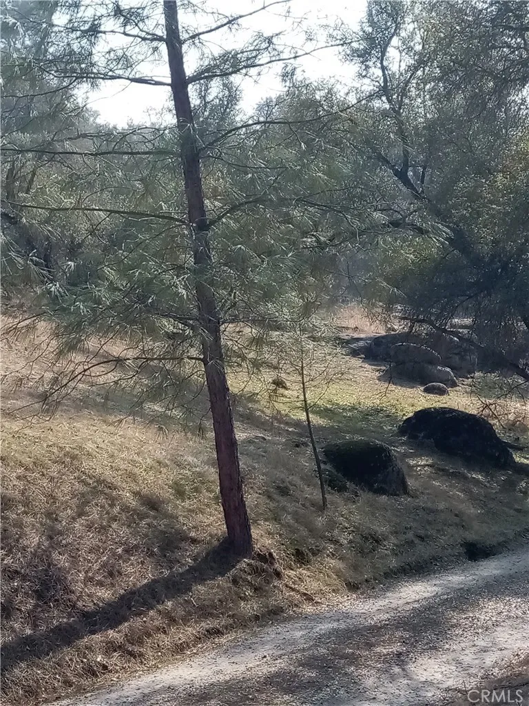 0 Deep Forest Drive Coarsegold, CA 93614 - Photo 11 of 14
