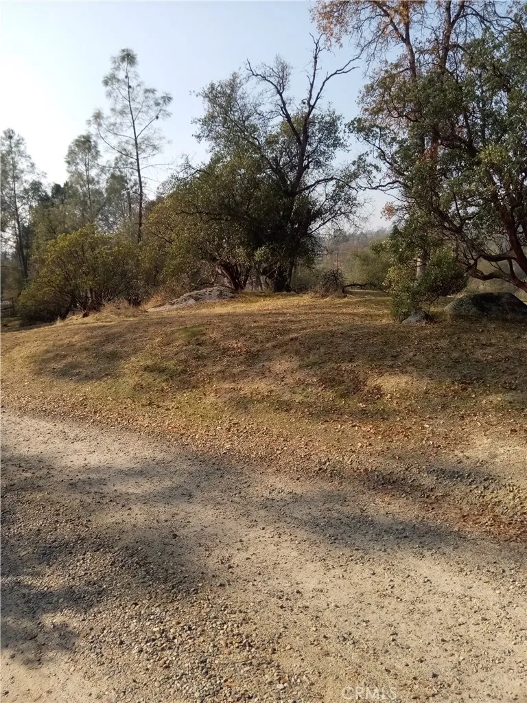0 Deep Forest Drive Coarsegold, CA 93614 - Photo 12 of 14