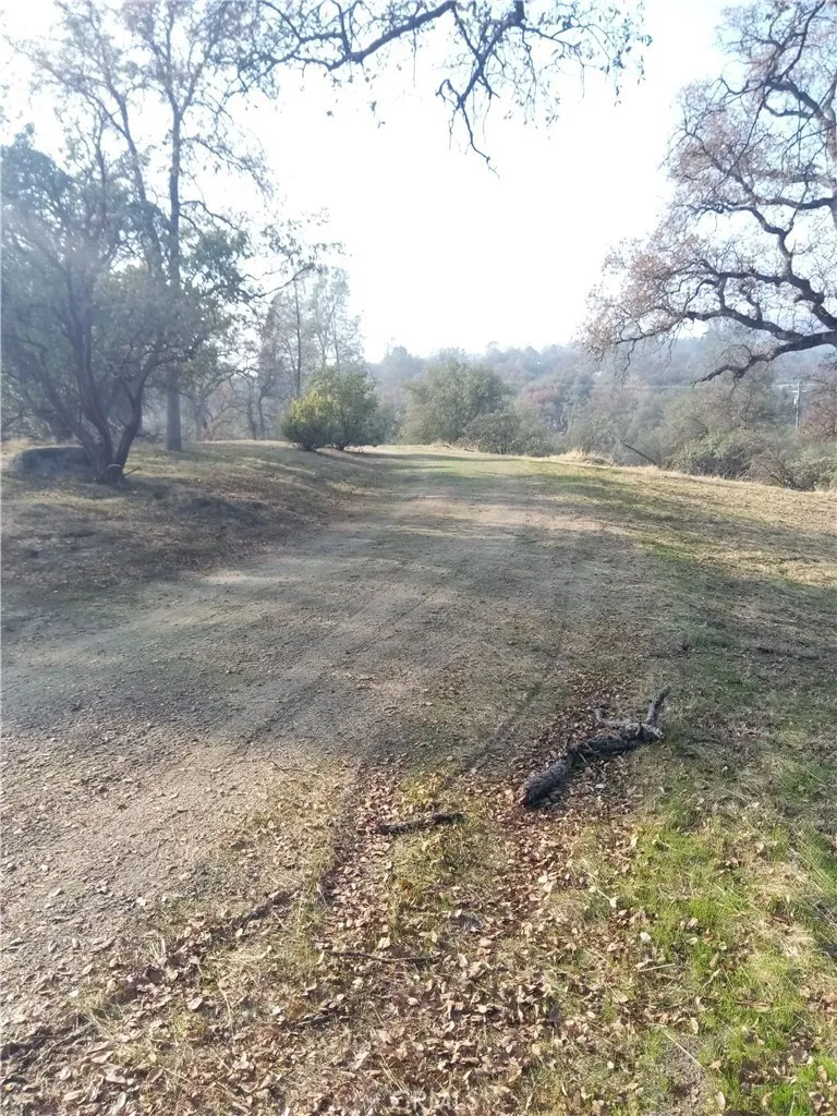0 Deep Forest Drive Coarsegold, CA 93614 - Photo 13 of 14