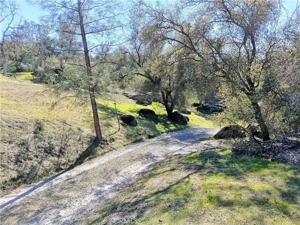 0 Deep Forest Drive Coarsegold, CA 93614 - Photo 14 of 14