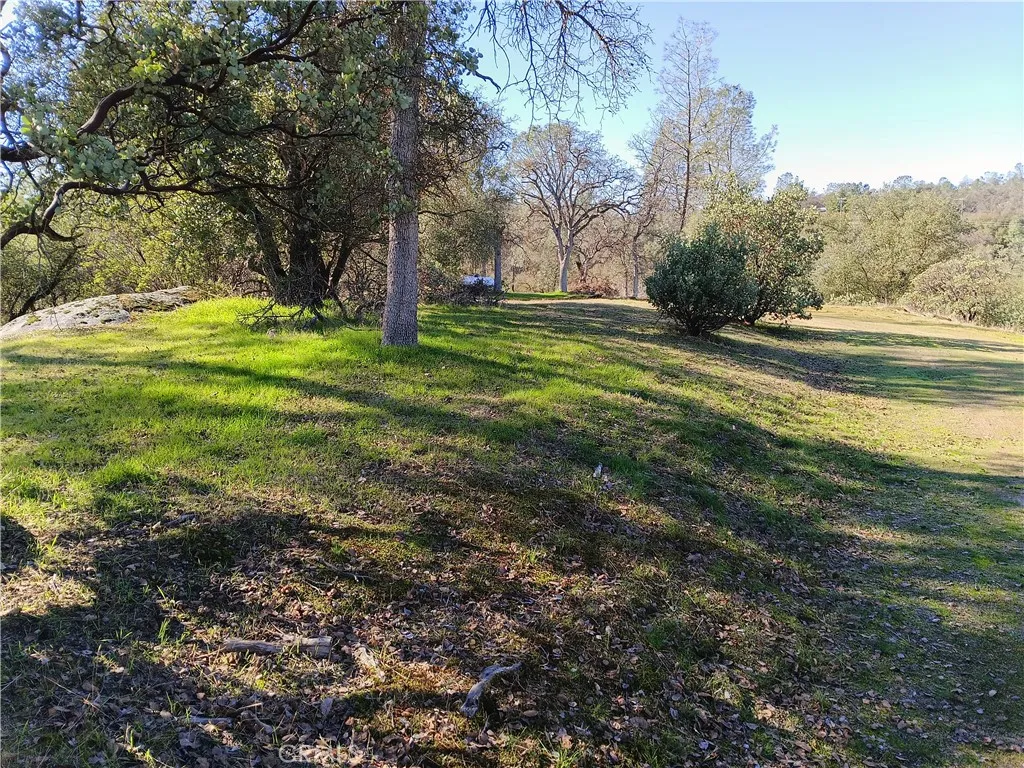 0 Deep Forest Drive Coarsegold, CA 93614 - Photo 2 of 14