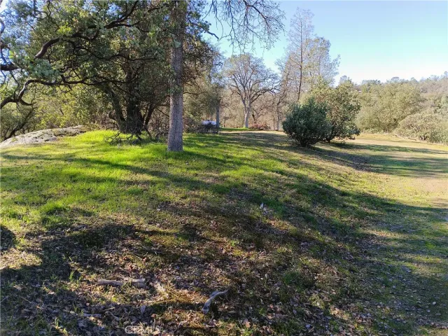 $30,000 | 0 Deep Forest Drive, Coarsegold, CA 93614