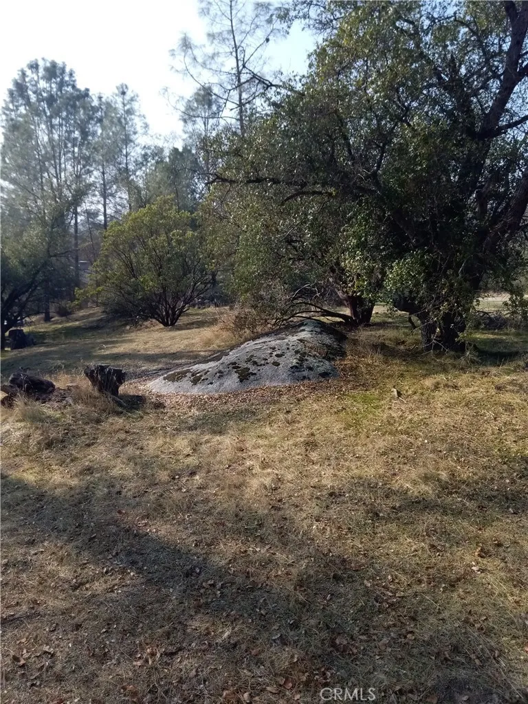 0 Deep Forest Drive Coarsegold, CA 93614 - Photo 3 of 14