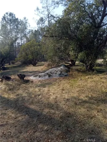 $30,000 | 0 Deep Forest Drive, Coarsegold, CA 93614