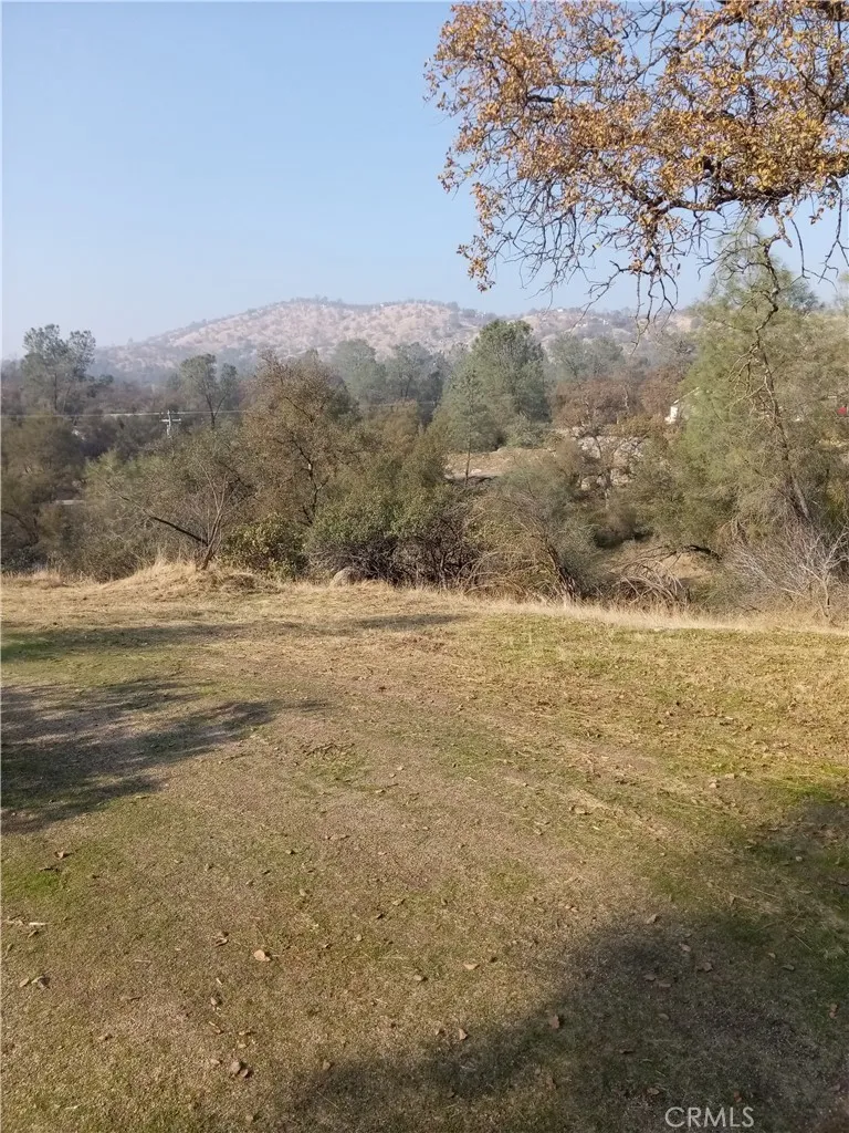 0 Deep Forest Drive Coarsegold, CA 93614 - Photo 6 of 14