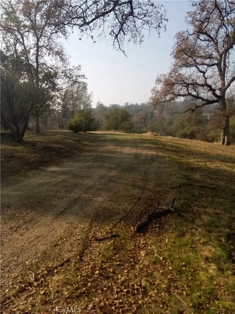 0 Deep Forest Drive Coarsegold, CA 93614 - Photo 7 of 14