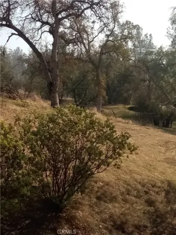 $30,000 | 0 Deep Forest Drive, Coarsegold, CA 93614