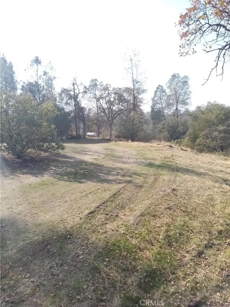 0 Deep Forest Drive Coarsegold, CA 93614 - Photo 10 of 14