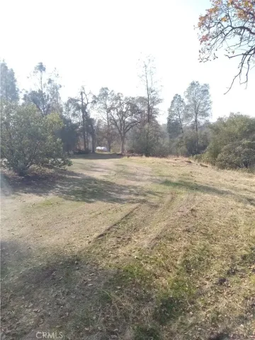 $30,000 | 0 Deep Forest Drive, Coarsegold, CA 93614