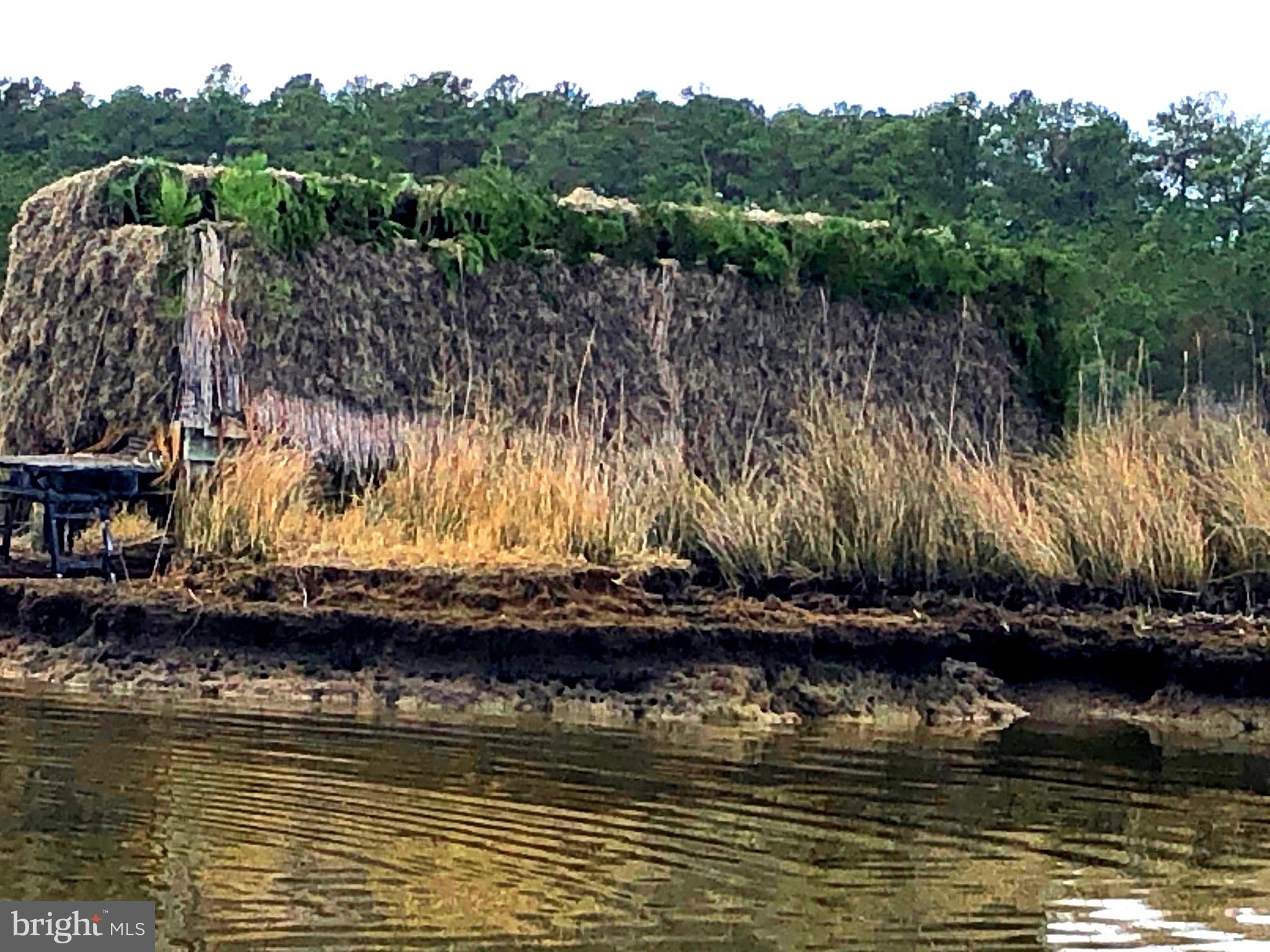 5419 Ragged Point Road Cambridge, MD 21613 - Photo 9 of 60 Professional Made Duck Blind