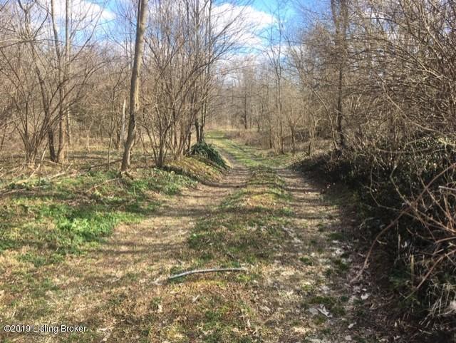 70 Cemetery Road New Castle, KY 40050 - Photo 2 of 9 Drive path