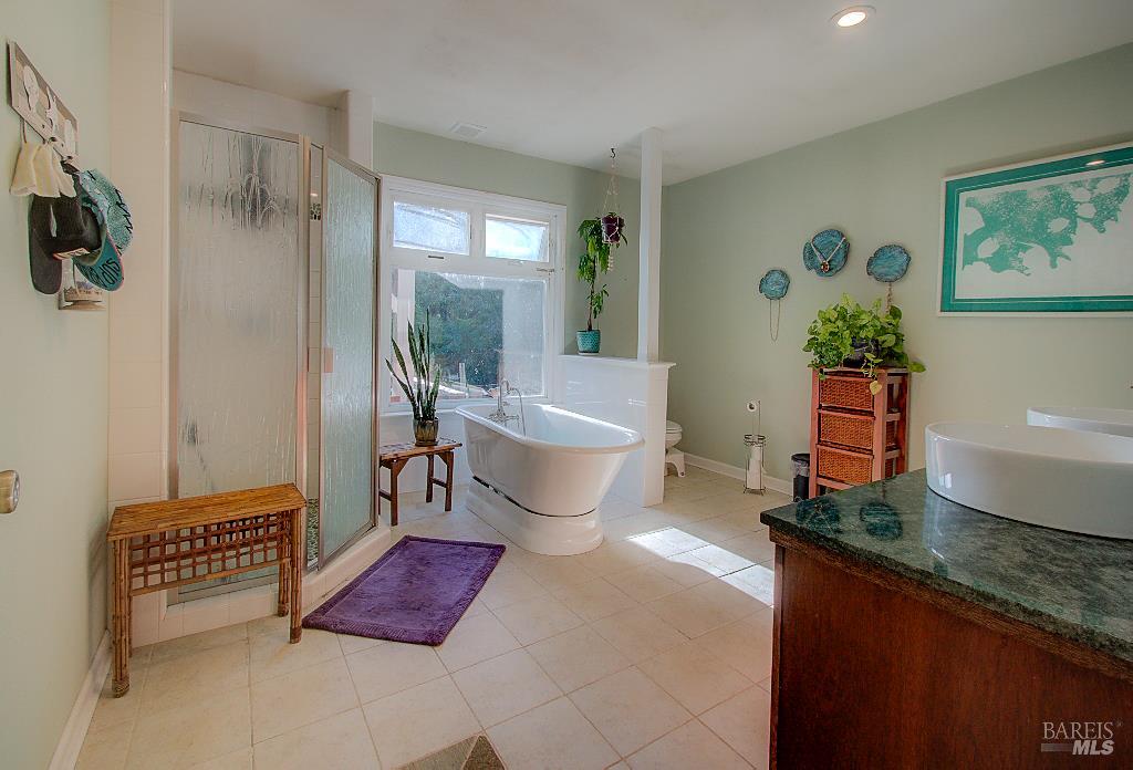 31191 Turner Road Fort Bragg, CA 95437 - Photo 18 of 36 a bathroom with a granite countertop sink a toilet and shower