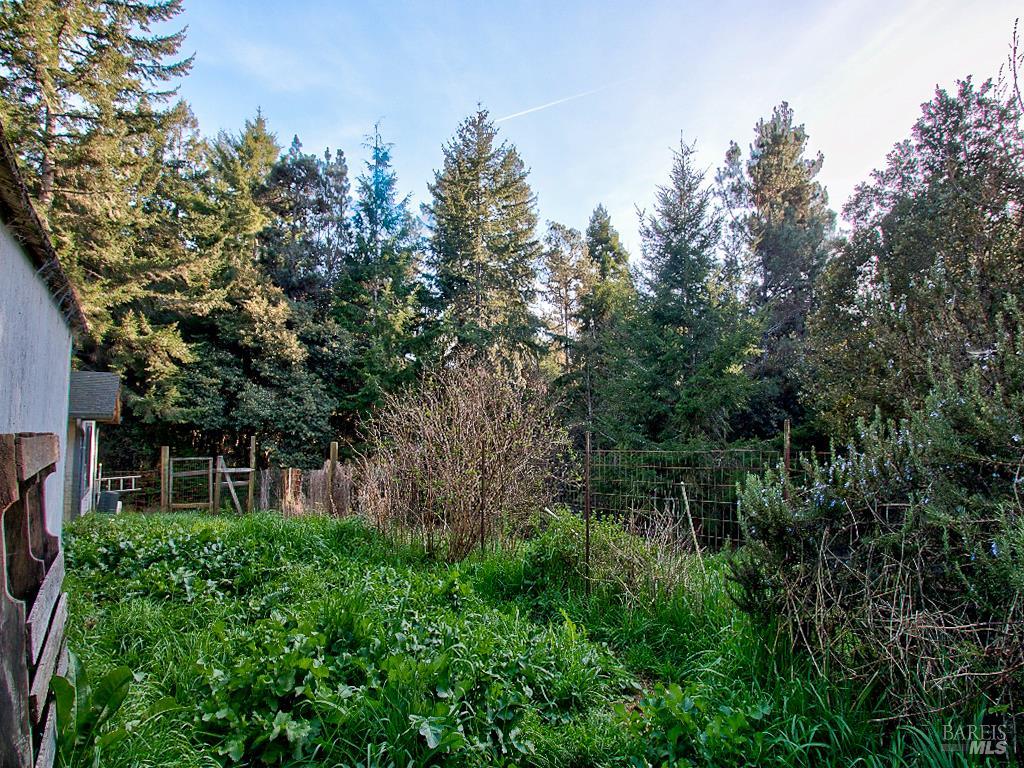 31191 Turner Road Fort Bragg, CA 95437 - Photo 30 of 36 a view of a house with a yard