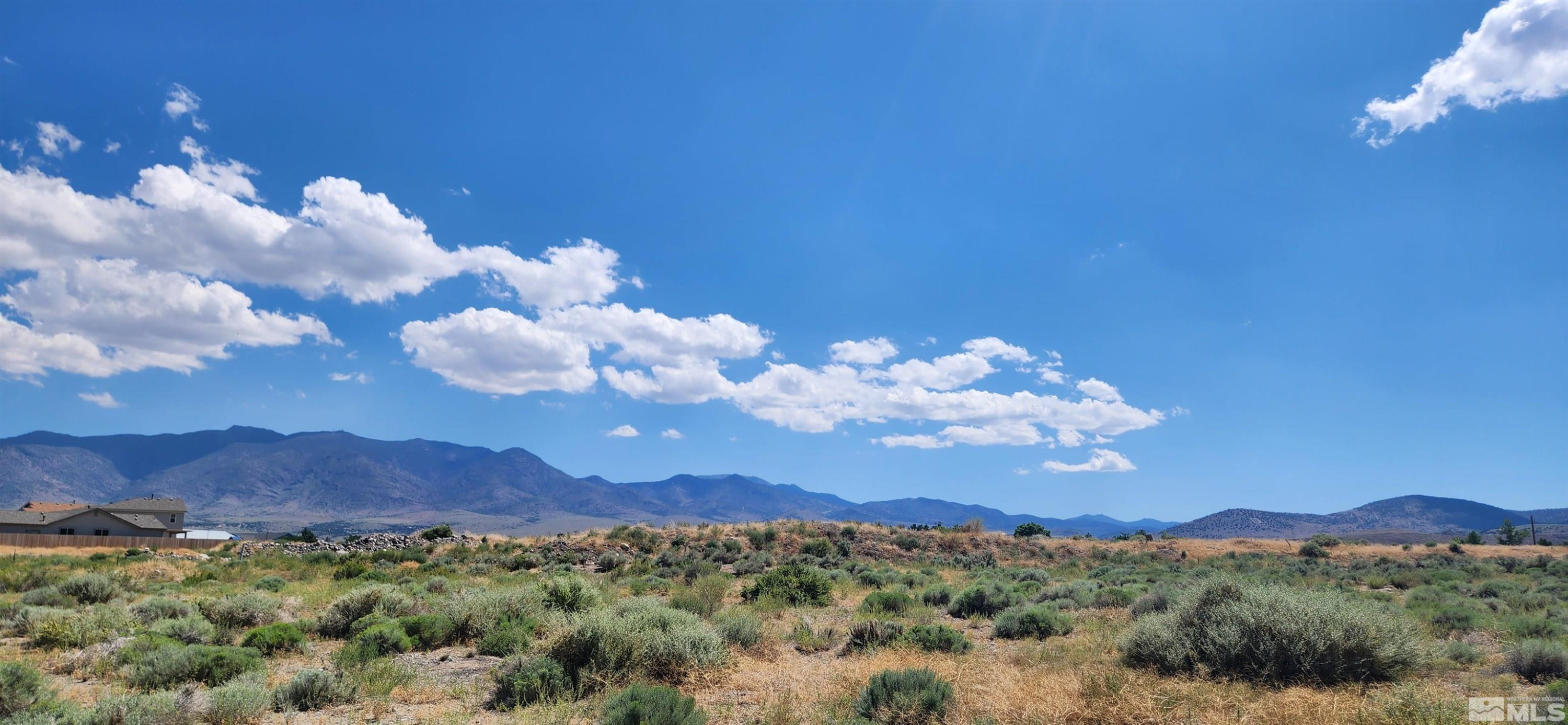 2968239 Dayton Valley Road Dayton, NV 89403 - Photo 11 of 17 a view of a bunch of trees in the distance