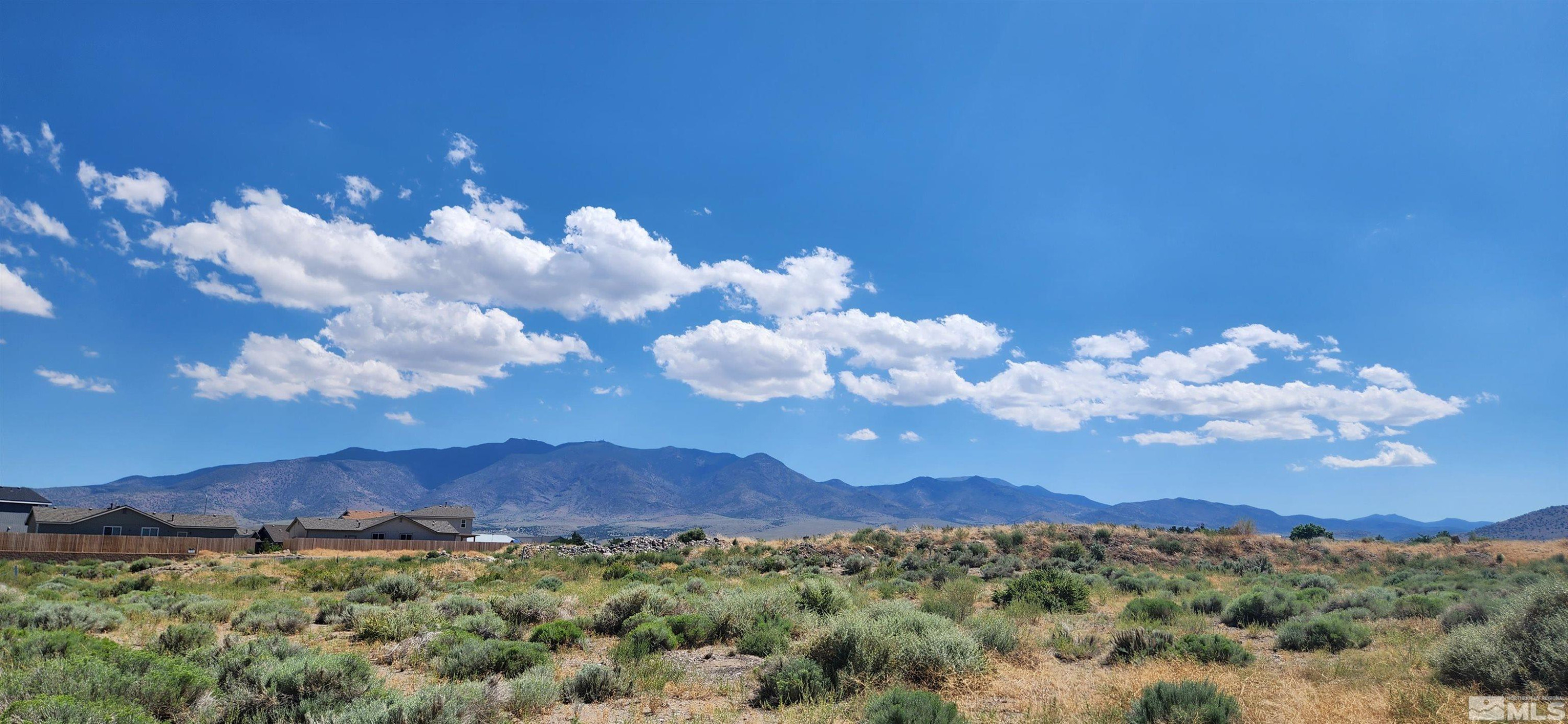 2968239 Dayton Valley Road Dayton, NV 89403 - Photo 10 of 17 a view of a yard with an umbrella