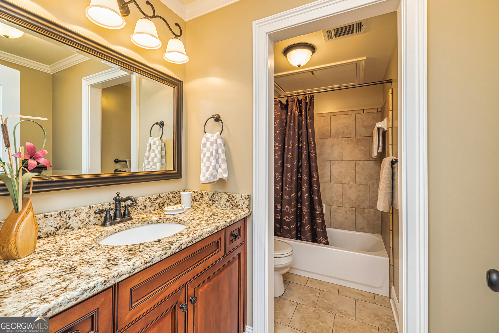 210 Mockingbird Lane Brooks, GA 30205 - Photo 47 of 87 a bathroom with a granite countertop sink vanity mirror bathtub shower and a toilet