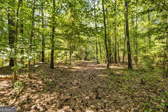 $1,200,000 | 210 Mockingbird Lane, Brooks, GA 30205