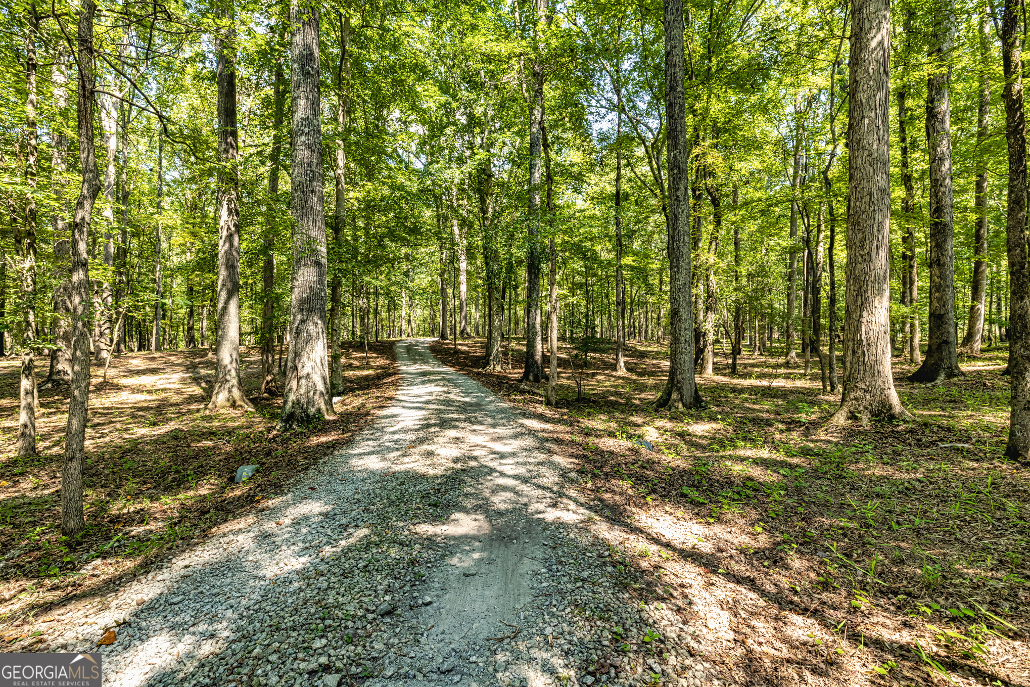 210 Mockingbird Lane Brooks, GA 30205 - Photo 72 of 87 a view of outdoor space with trees