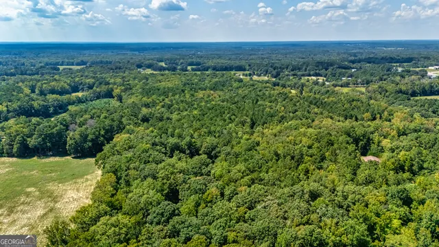 $1,200,000 | 210 Mockingbird Lane, Brooks, GA 30205