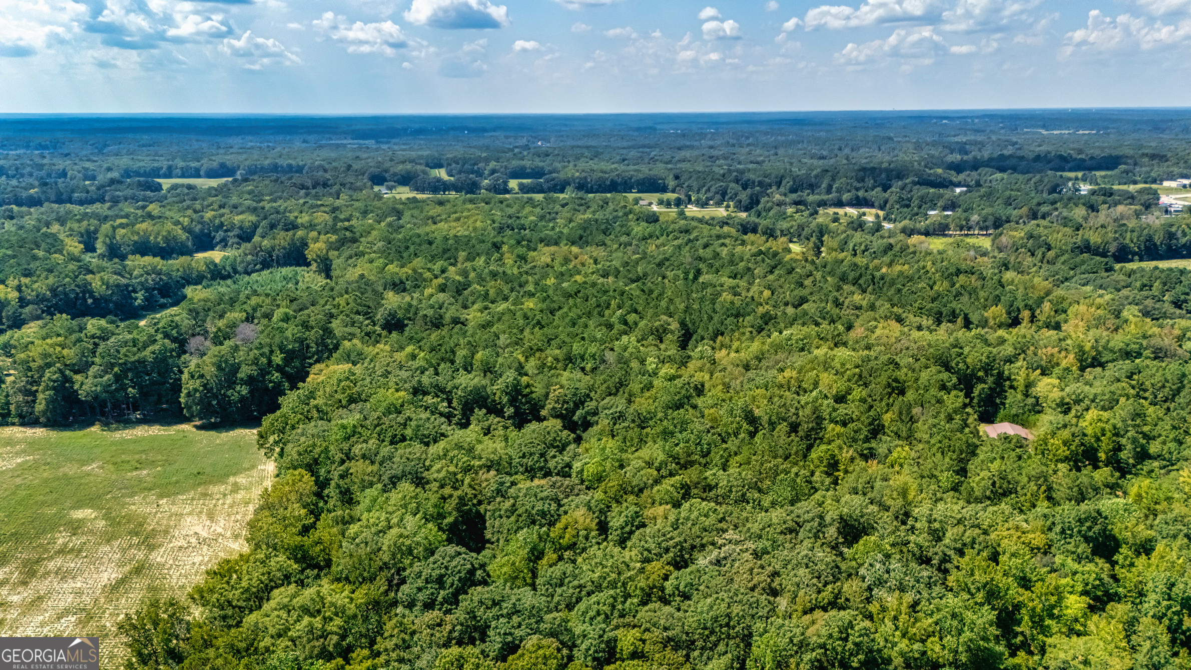 210 Mockingbird Lane Brooks, GA 30205 - Photo 81 of 87 an aerial view of a houses with a yard and lake view