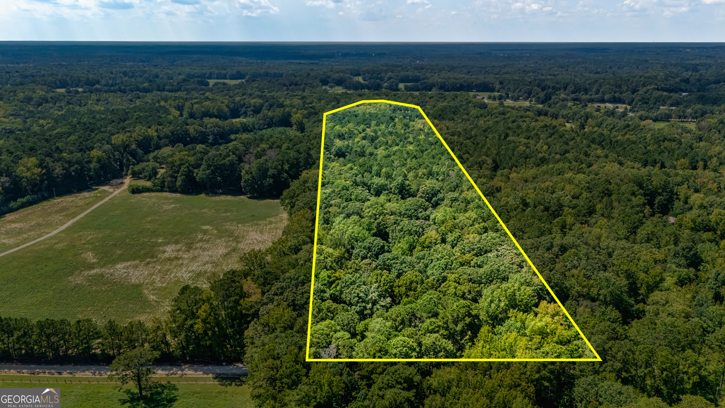 210 Mockingbird Lane Brooks, GA 30205 - Photo 84 of 87 an aerial view of a yard