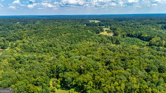 $1,200,000 | 210 Mockingbird Lane, Brooks, GA 30205