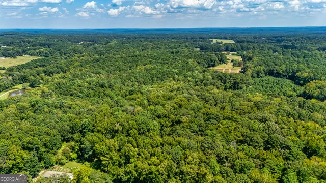 $1,200,000 | 210 Mockingbird Lane, Brooks, GA 30205