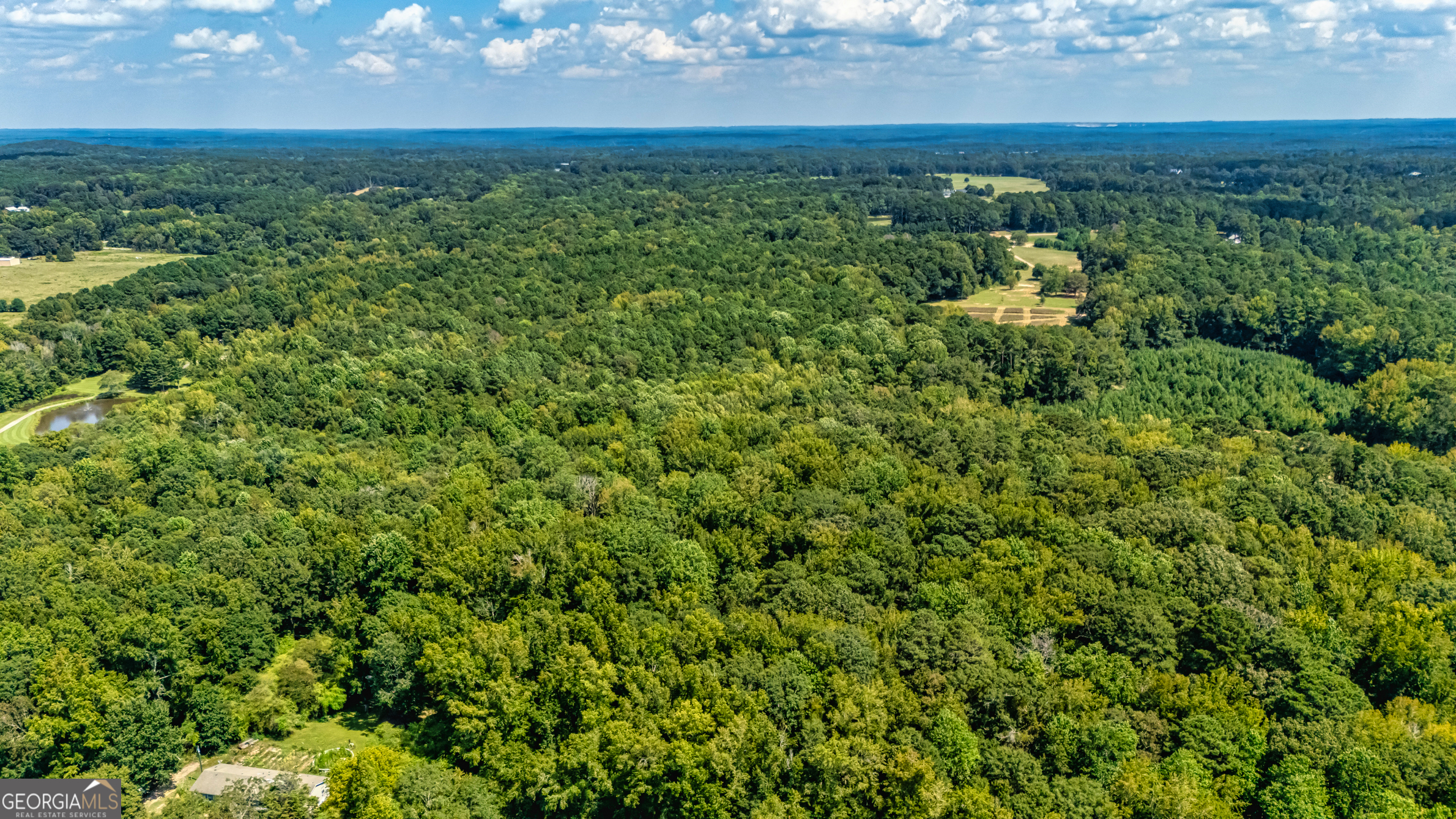 210 Mockingbird Lane Brooks, GA 30205 - Photo 87 of 87 an aerial view of residential houses with outdoor space and trees in the background
