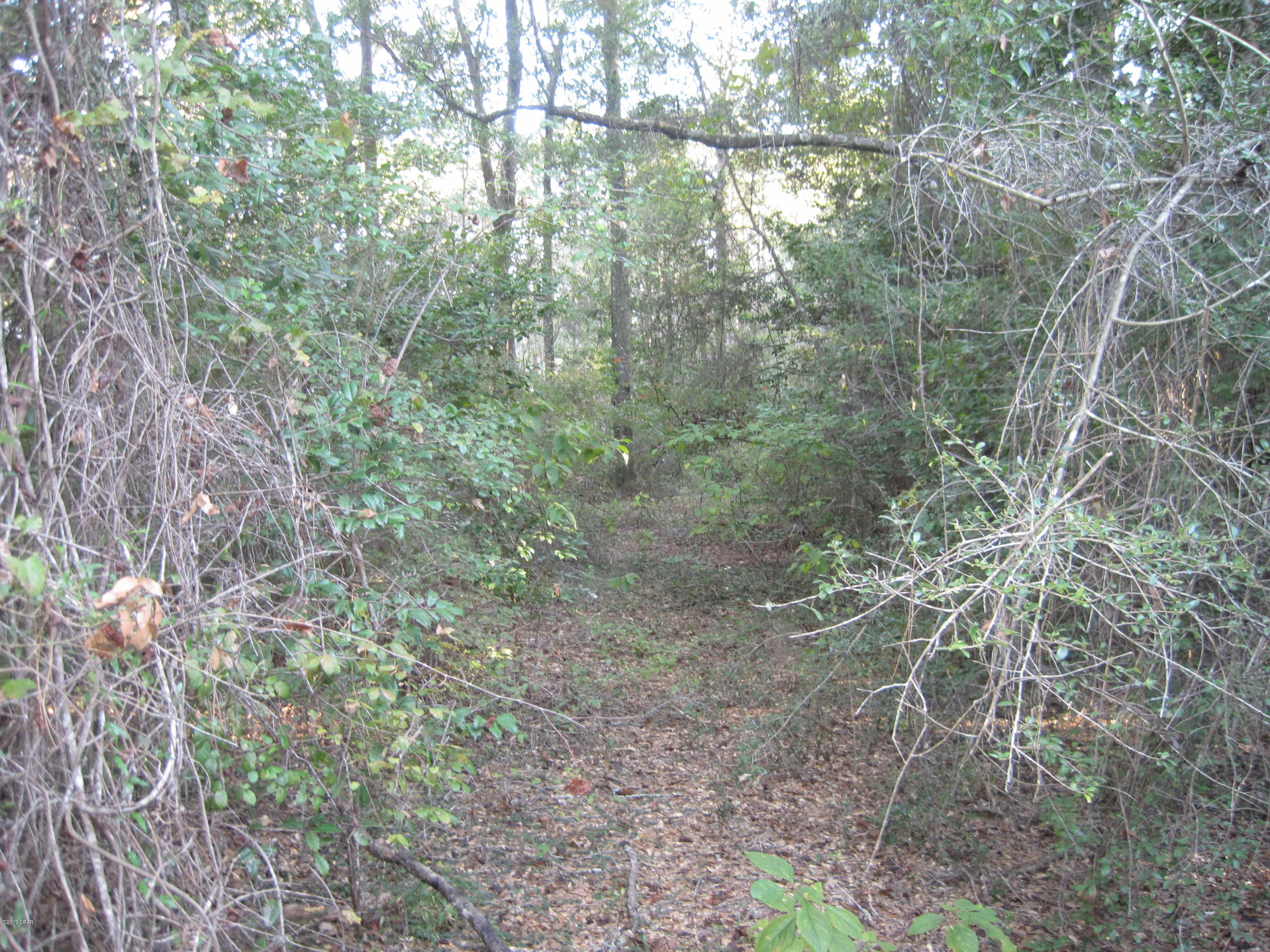 0 Still Pond Road Ebro, FL 32437 - Photo 4 of 12