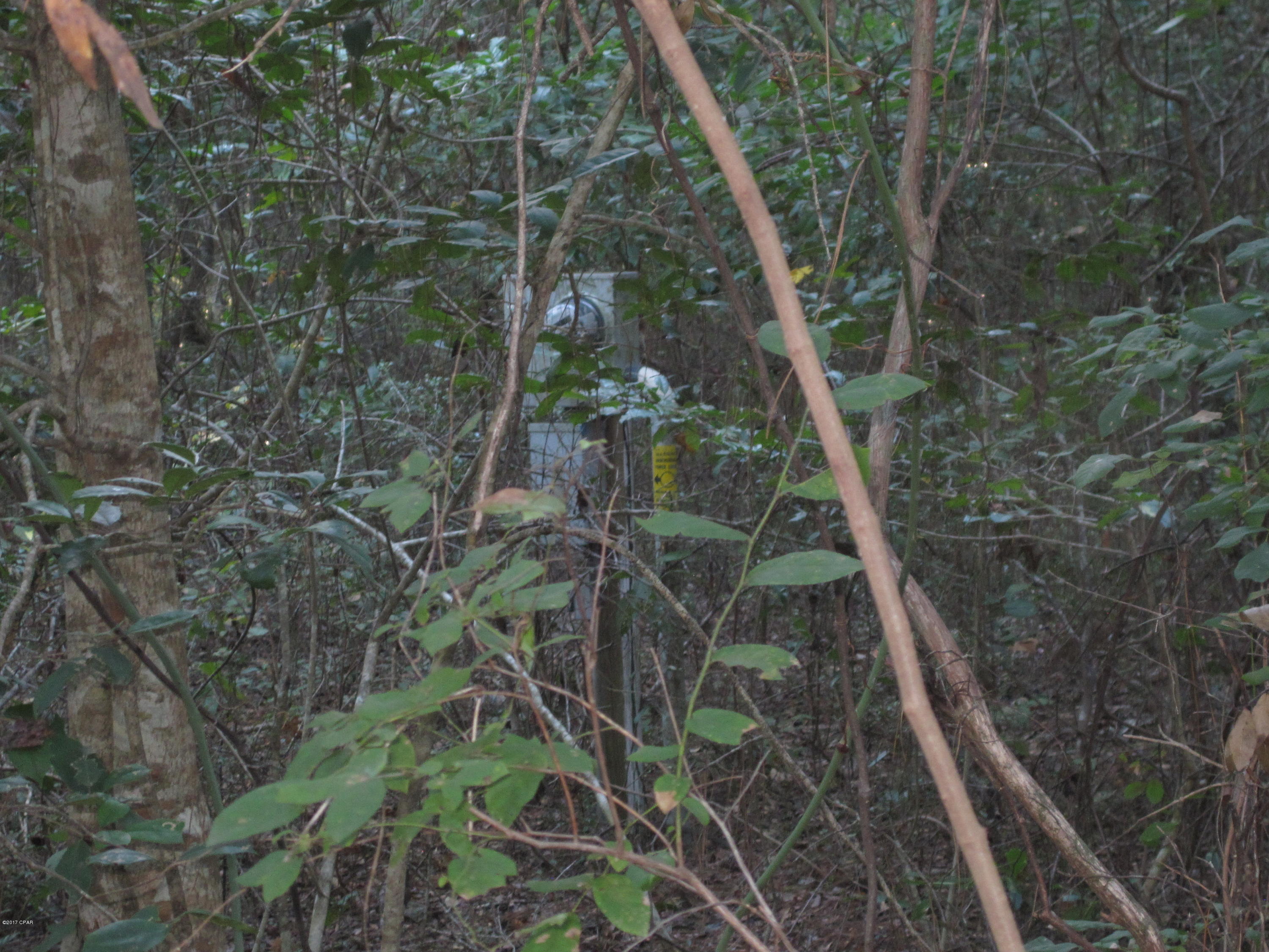 0 Still Pond Road Ebro, FL 32437 - Photo 5 of 12