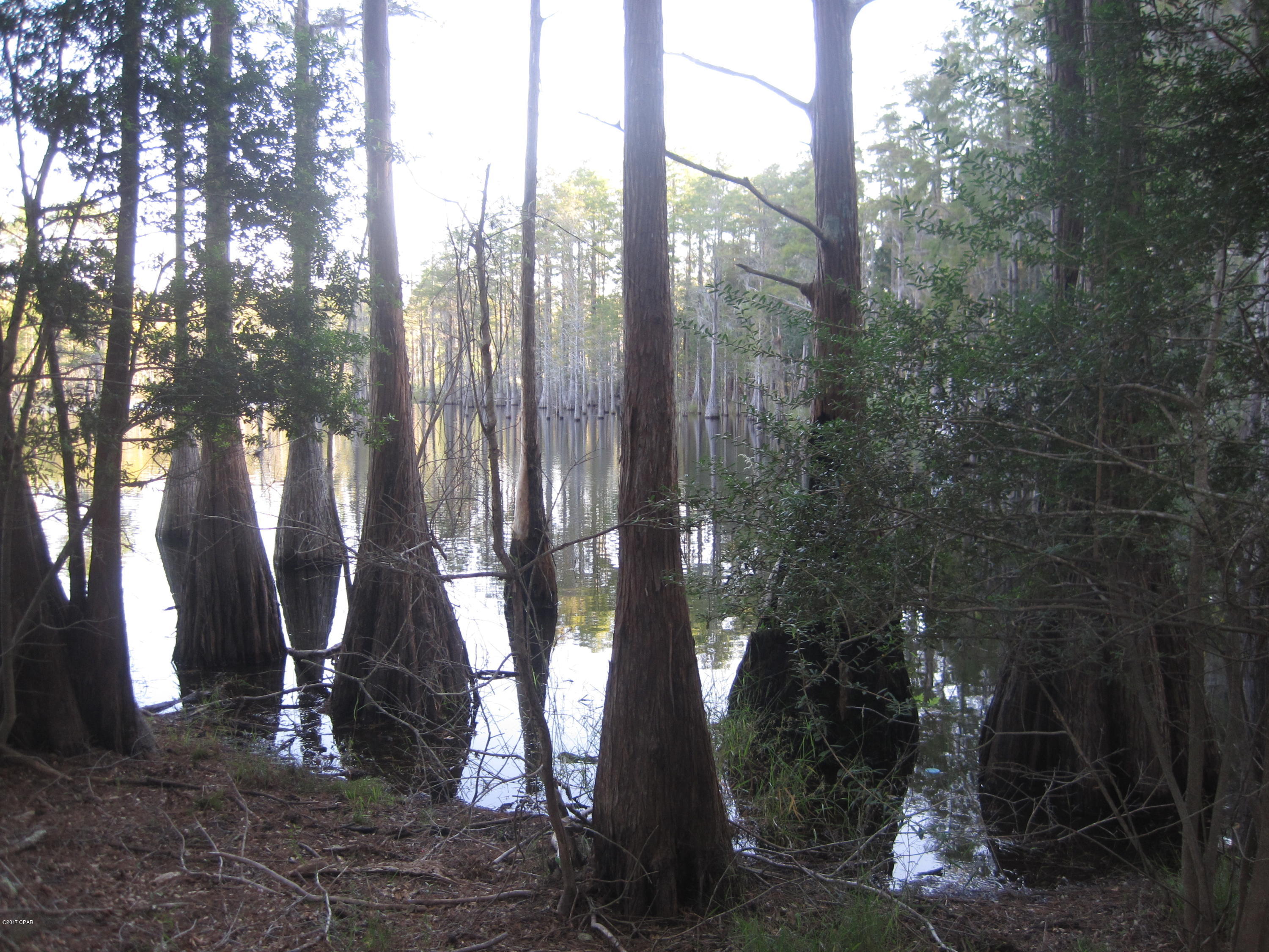 0 Still Pond Road Ebro, FL 32437 - Photo 9 of 12