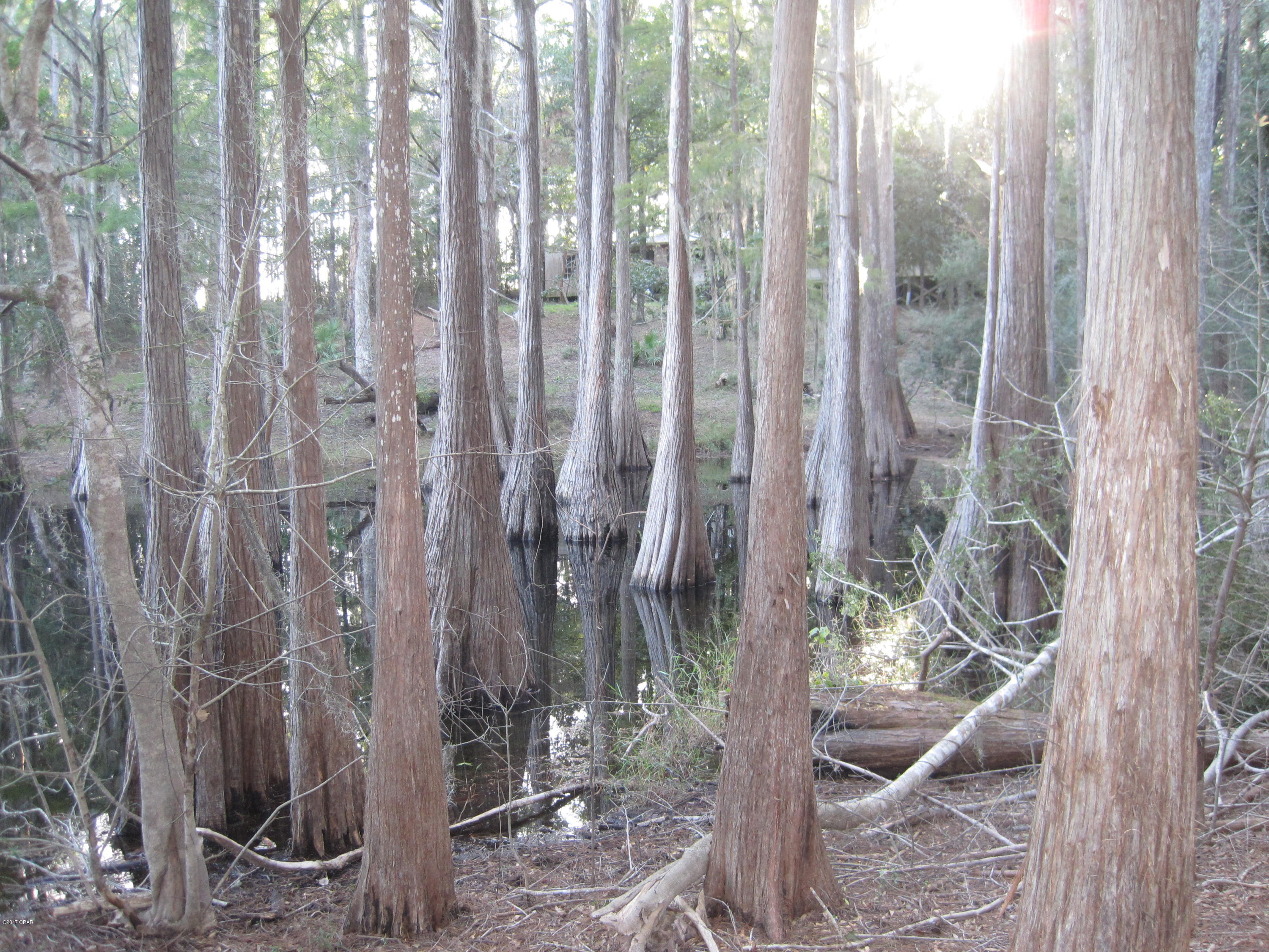 0 Still Pond Road Ebro, FL 32437 - Photo 10 of 12