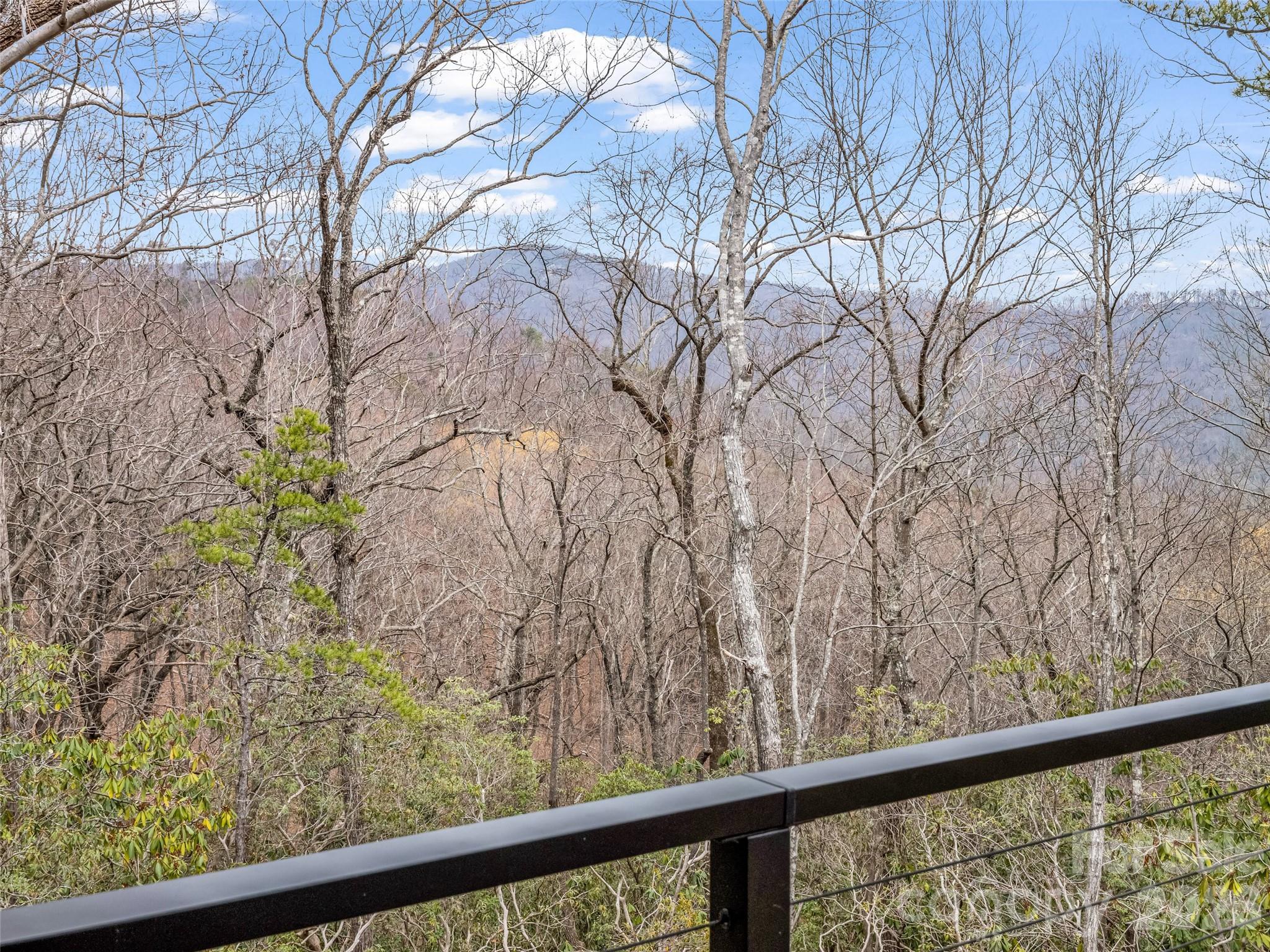 664 Quail Ridge Road Lake Lure, NC 28746 - Photo 23 of 44