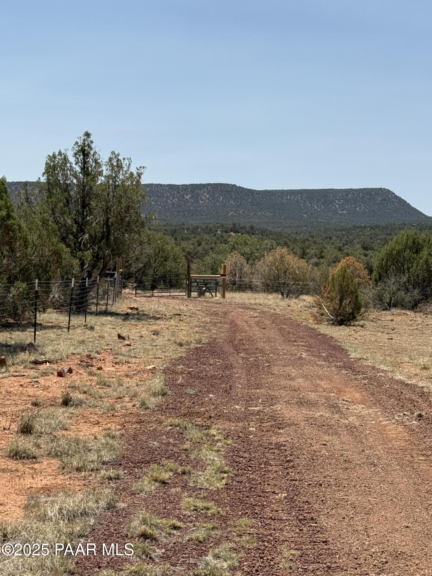 33395 Lago Road Seligman, AZ 86337 - Photo 1 of 27 The View!