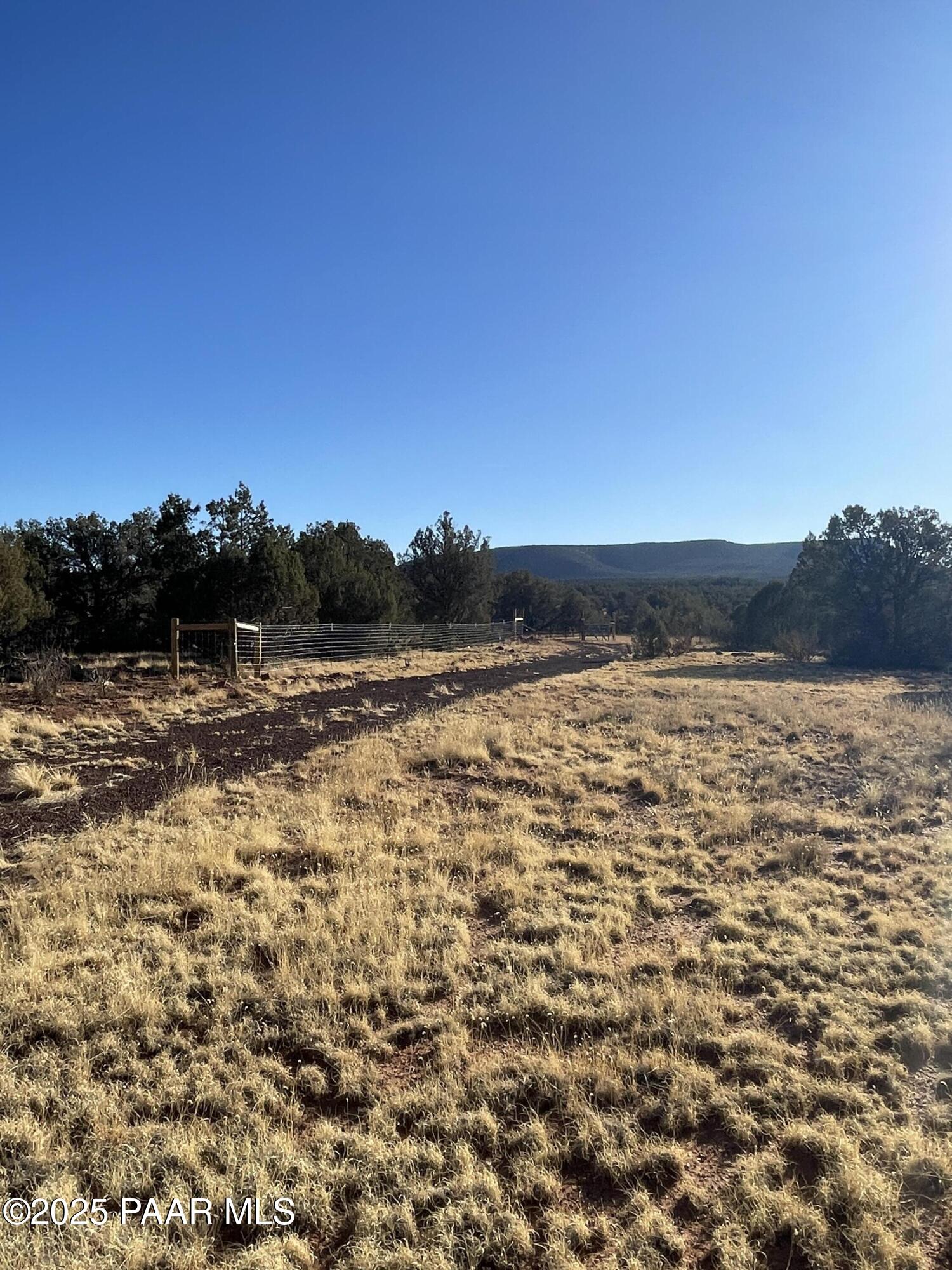 33395 Lago Road Seligman, AZ 86337 - Photo 14 of 27 Wide Open Spaces