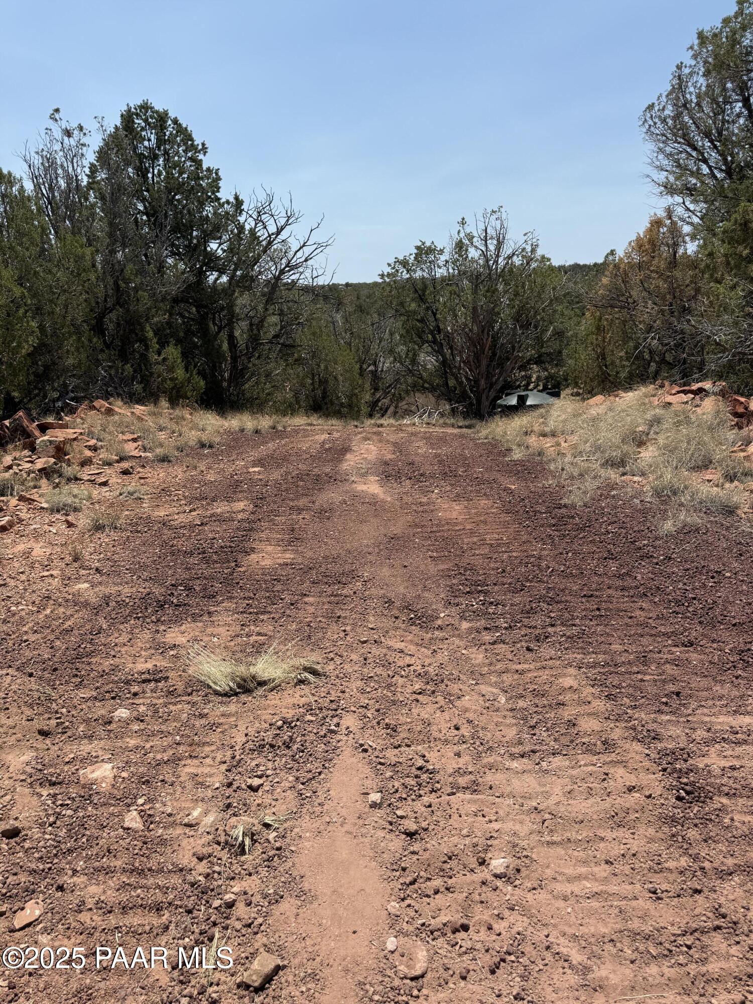 33395 Lago Road Seligman, AZ 86337 - Photo 3 of 27 Meandering Driveway