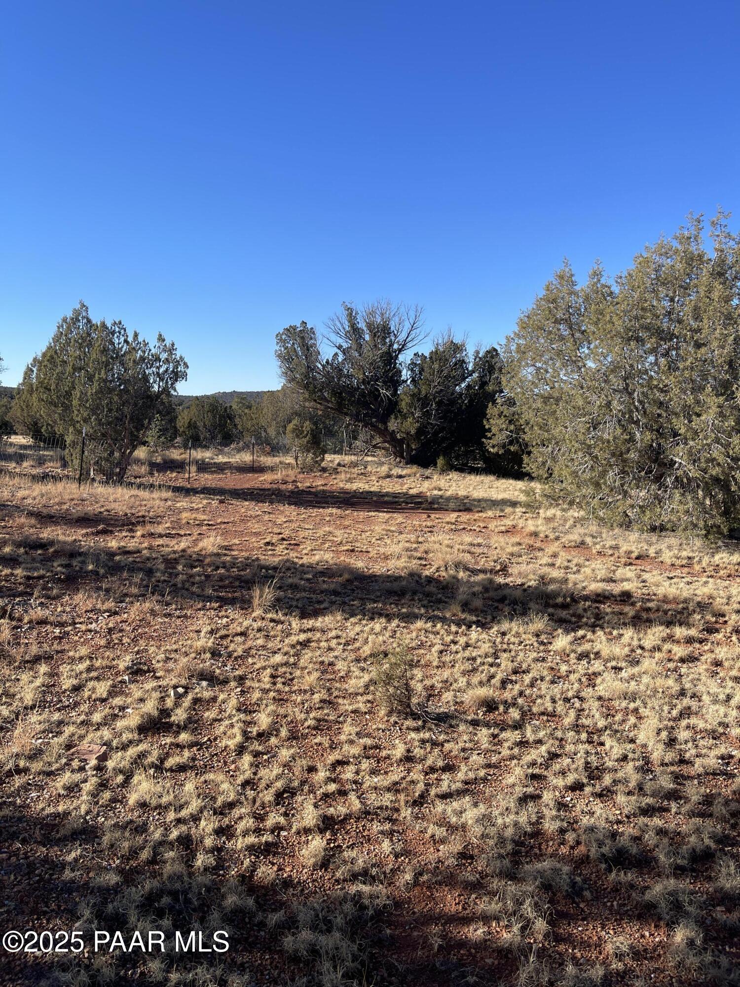 33395 Lago Road Seligman, AZ 86337 - Photo 6 of 27 Garden