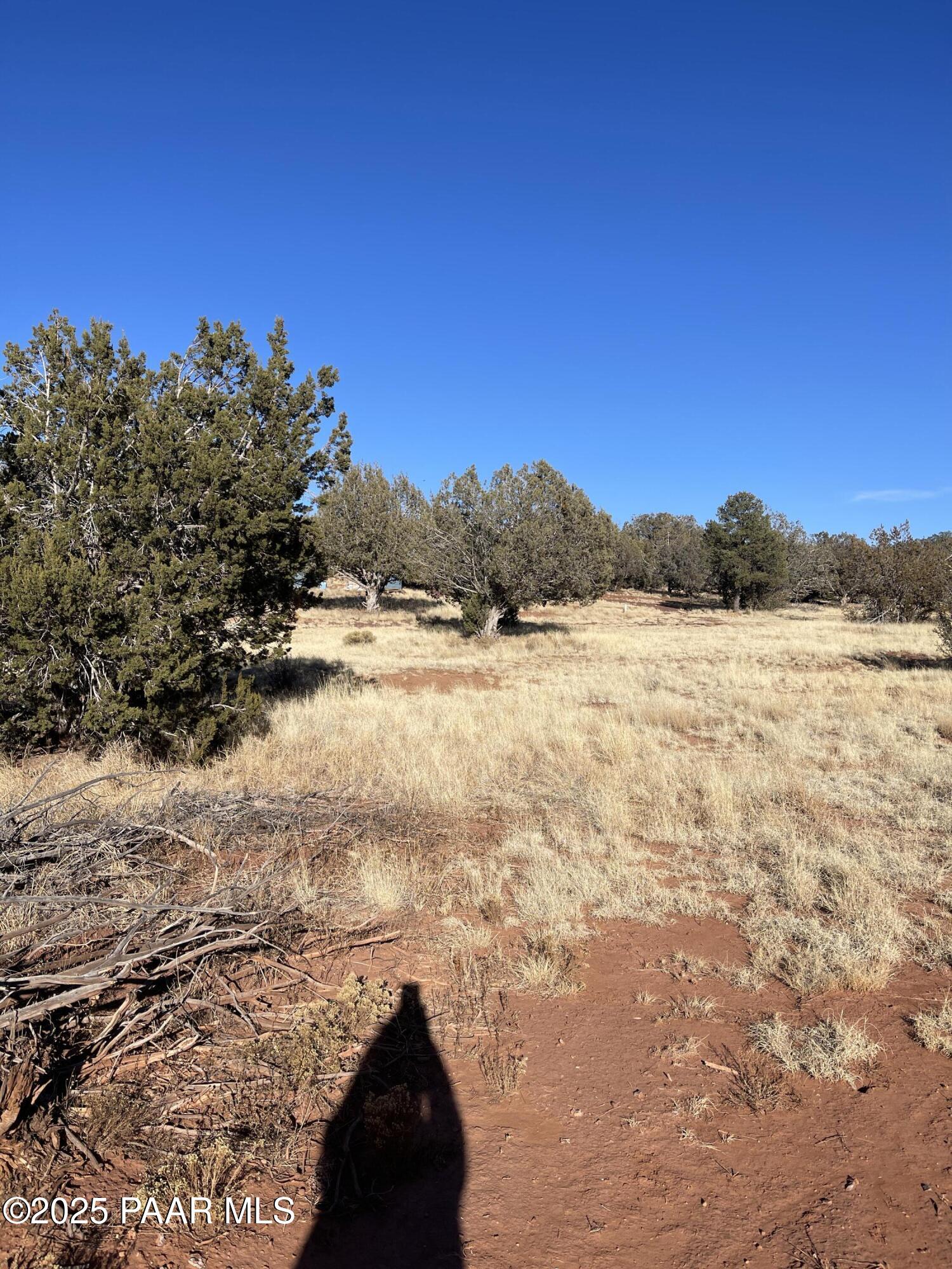 33395 Lago Road Seligman, AZ 86337 - Photo 9 of 27 Camping