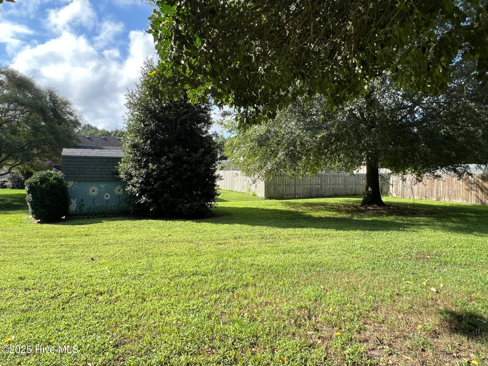 311 Ferry Road Elizabeth City, NC 27909 - Photo 26 of 58 Yard