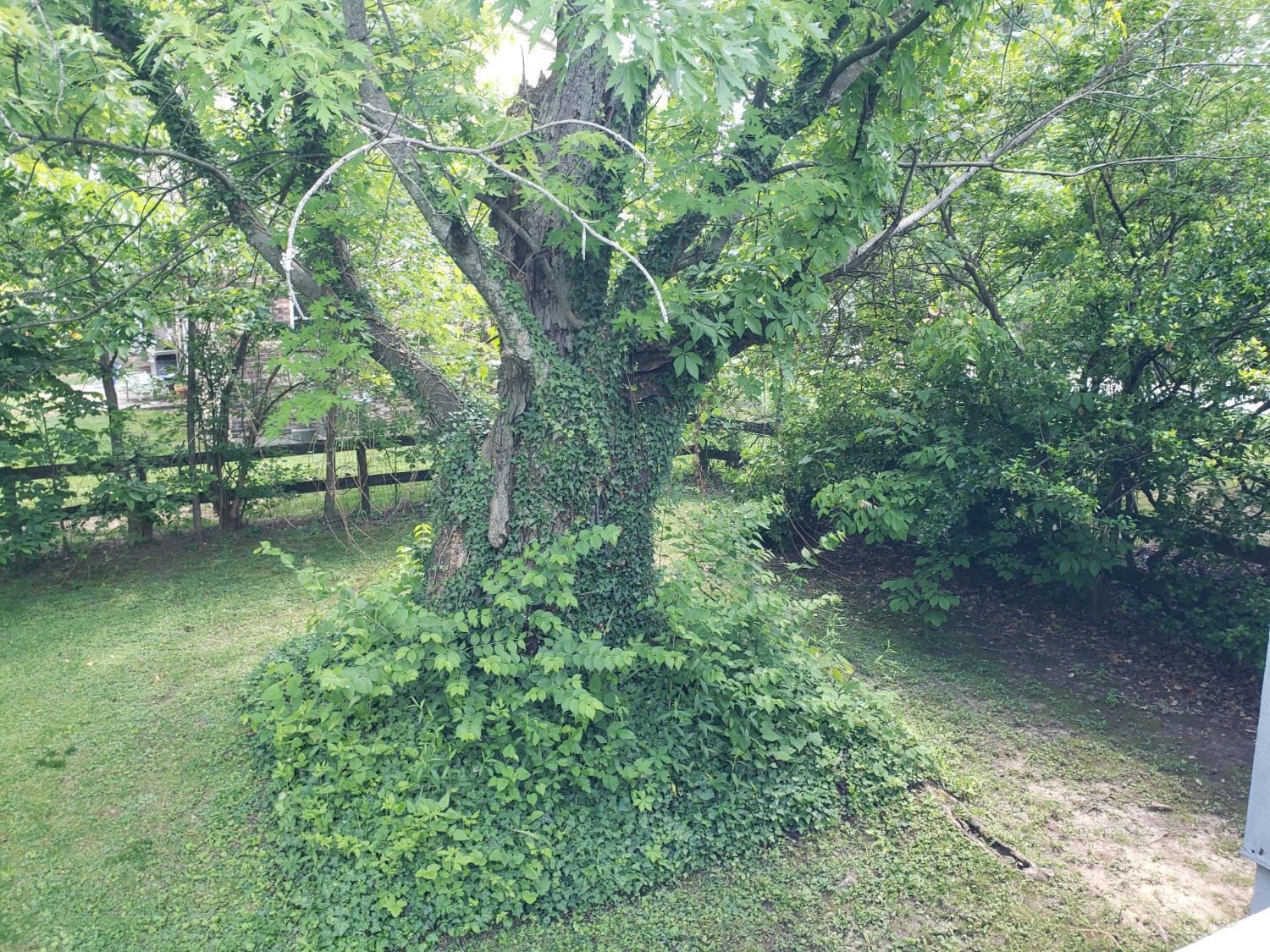 6090 Werk Road Cincinnati, OH 45248 - Photo 53 of 62